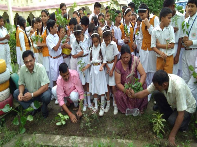 Tree Plantation Celebration Kotdwar.