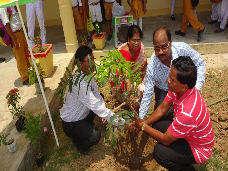 Tree Plantation Celebration Balasore.