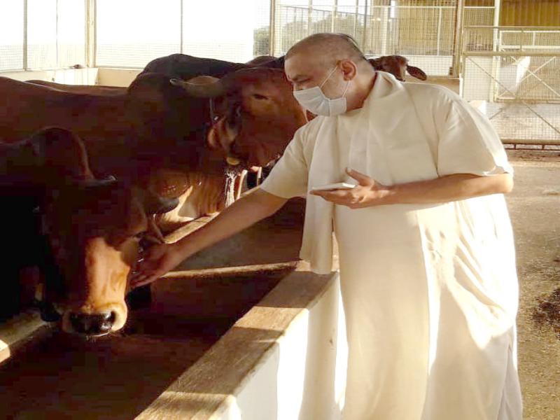 Pujya Brahmachari Girish Ji visited Maharishi Gaushala and Prashikshan Kendra and spent some time with Gir and Sahiwal cows.
